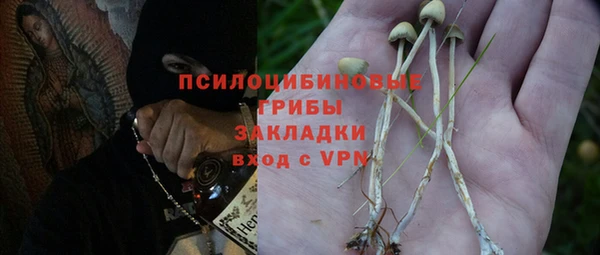 ПСИЛОЦИБИНОВЫЕ ГРИБЫ Балабаново
